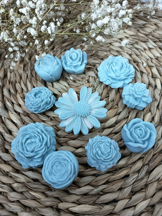 Recambio para BouWas