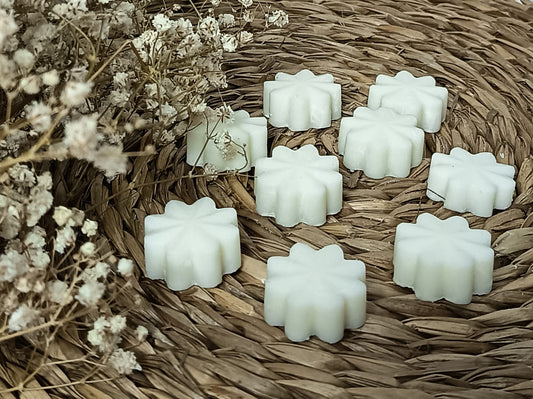 Wax Melt "Jazmín Egipcio"